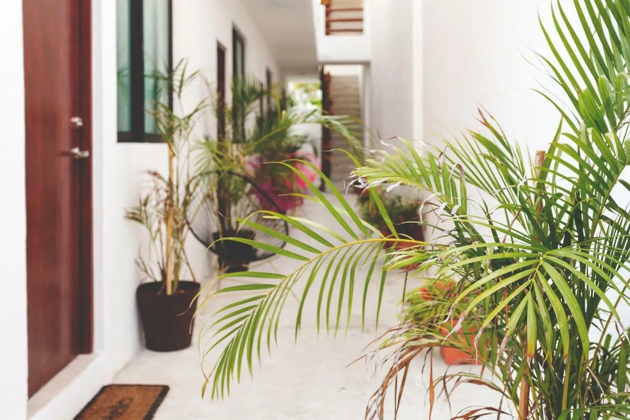 Dewl Estudios & Residences : The Kahlo Playa del Carmen Hotel